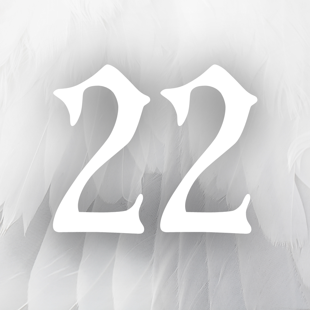 Formula 22