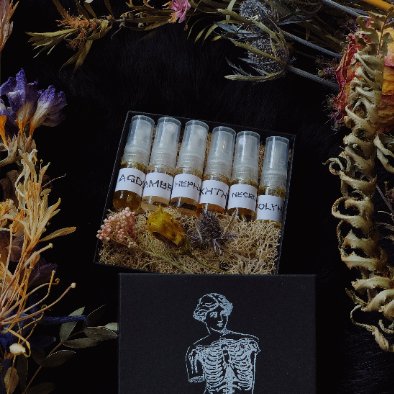 Discovery Set (Eau de Parfum) - Apokrypha