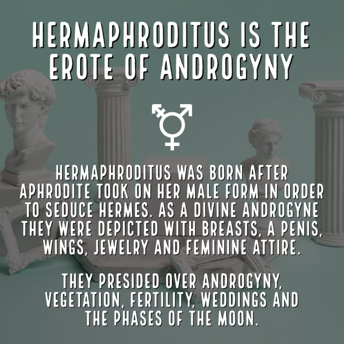 Hermaphroditus - Apokrypha
