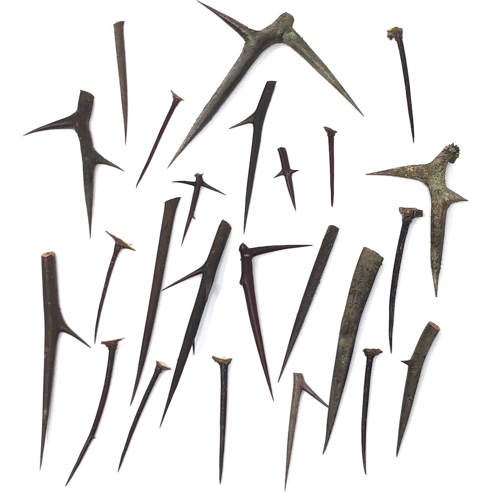 Honey Locust Thorns - Apokrypha
