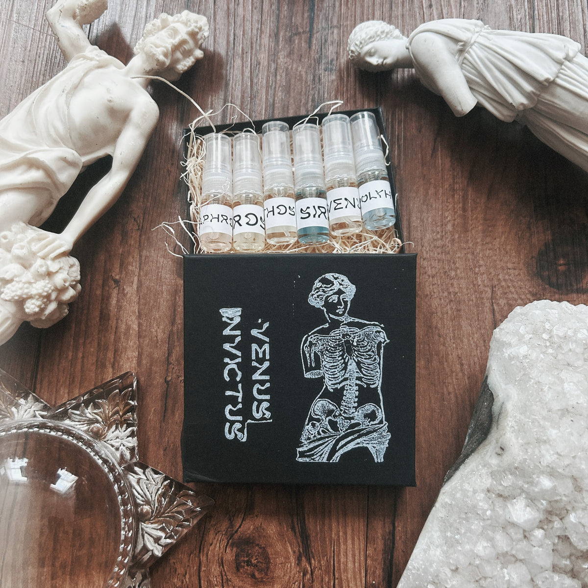 Discovery Set [Best Sellers]