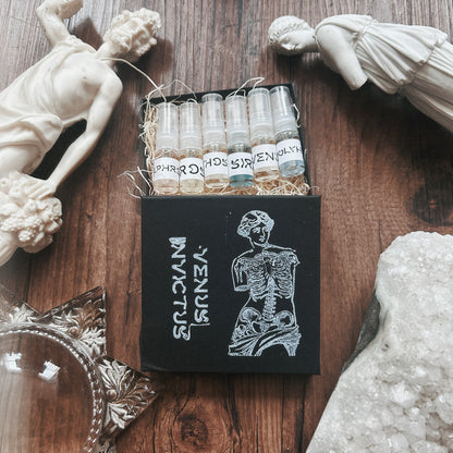 Discovery Set [Best Sellers]