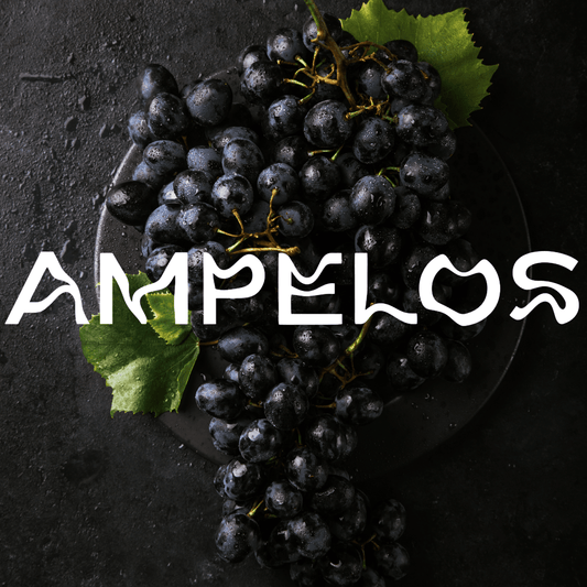 Ampelos - Apokrypha