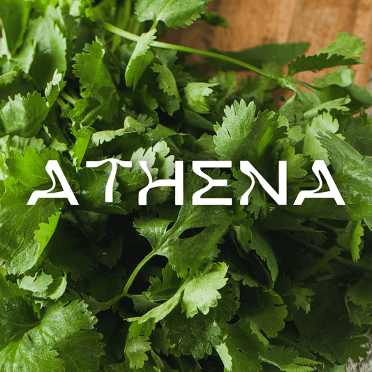 Athena - Apokrypha