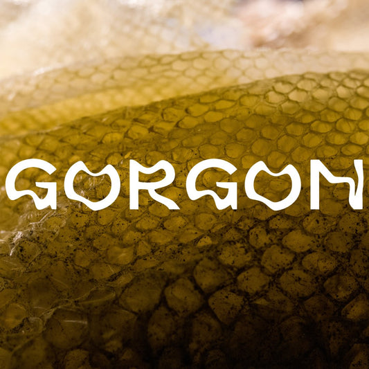 Gorgon - Apokrypha