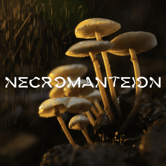 Necromanteion - Apokrypha