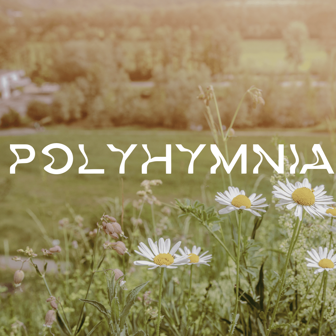 Polyhymnia - Apokrypha
