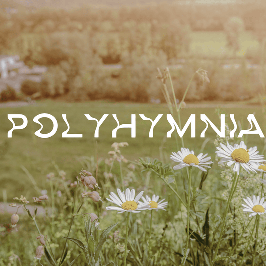 Polyhymnia - Apokrypha