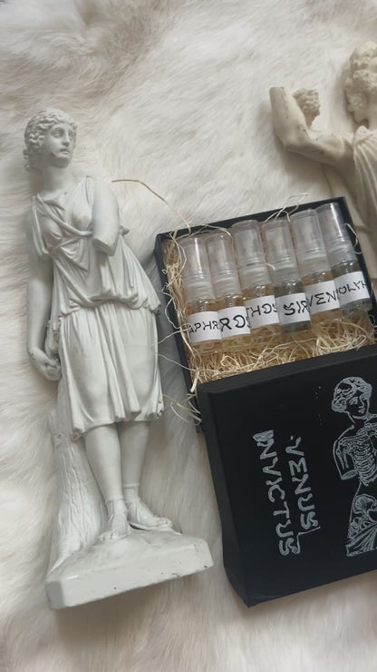 Discovery Set [New Arrivals]