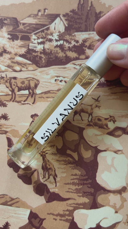 Silvanus