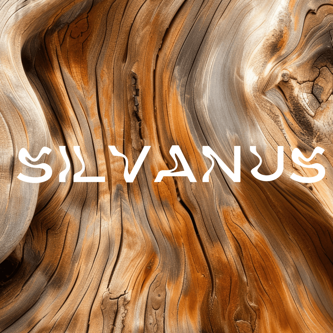 Silvanus - Apokrypha