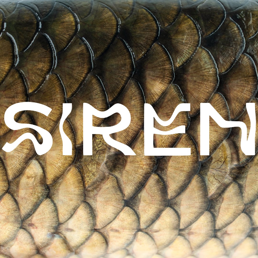 Siren - Apokrypha