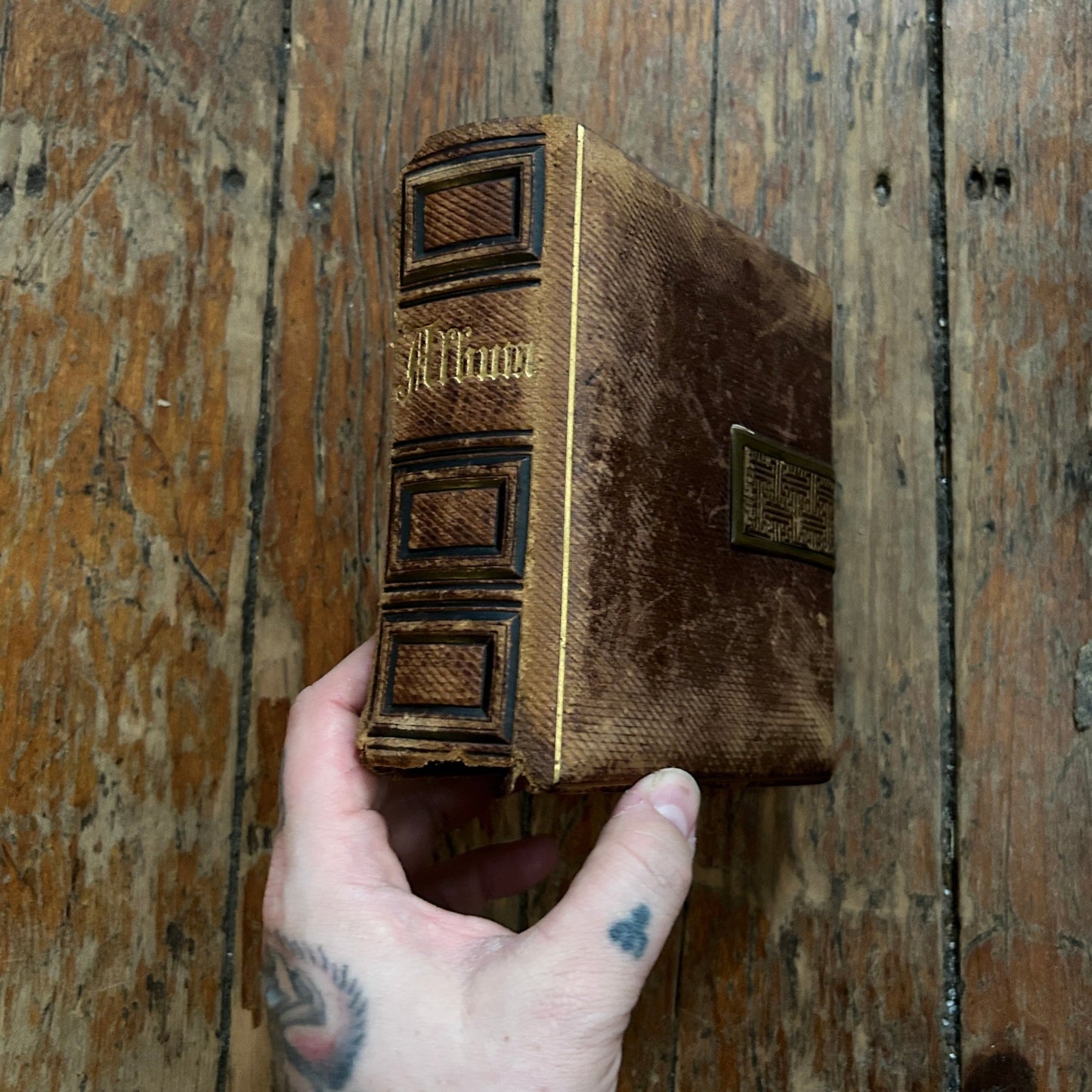 Antique Photo Album - Apokrypha