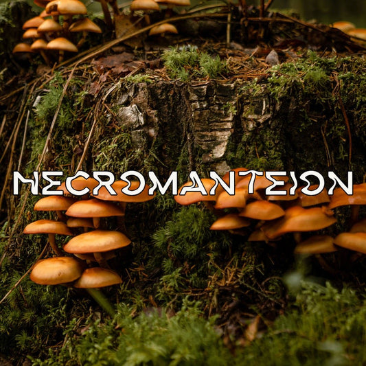 Necromanteion - Apokrypha