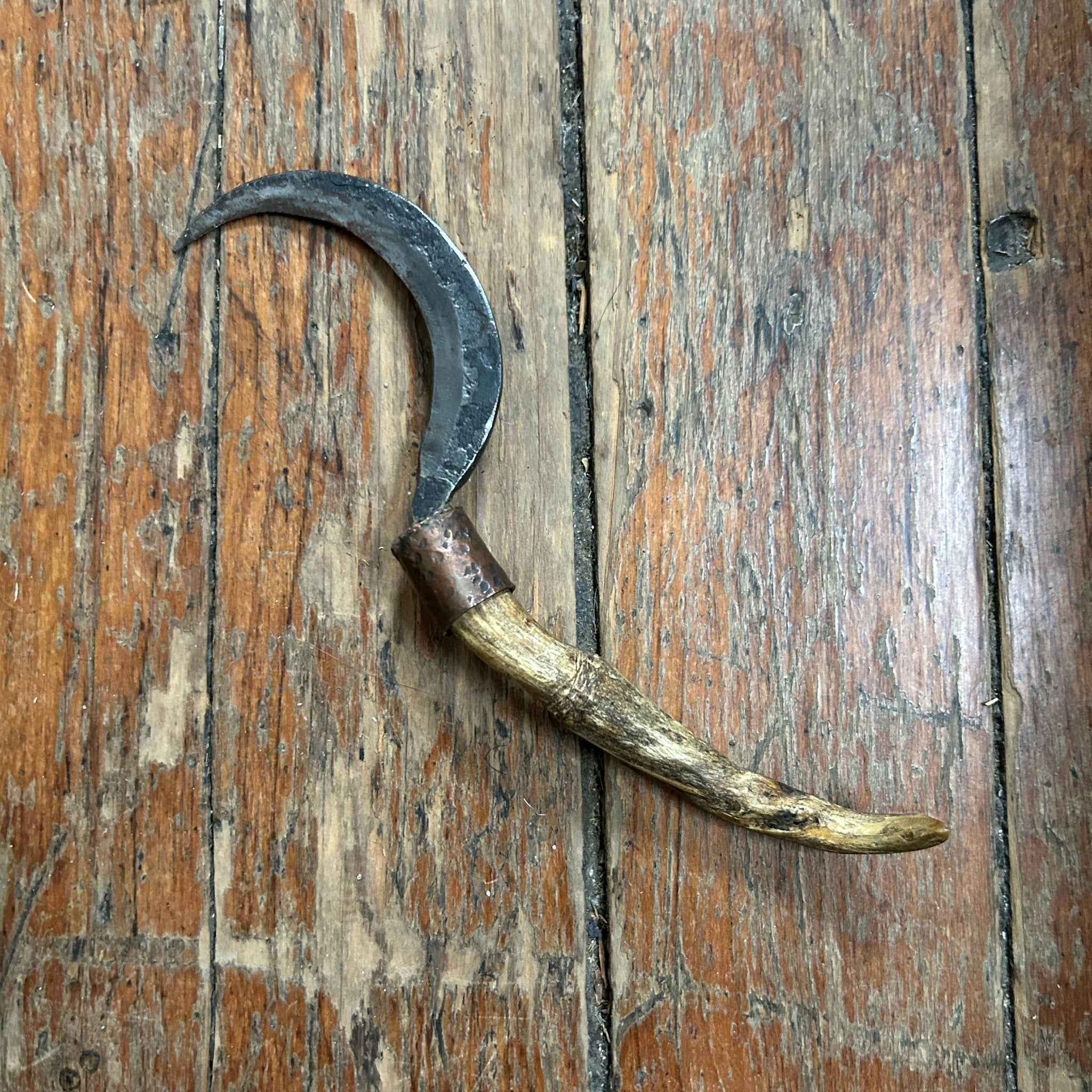 Swamp Witch Curios – Apokrypha